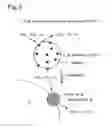 Fig. 09 - Nox purging system and method of reactivating deteriorated catalyst therein