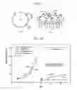 Fig. 03 - Simultaneous combustion with premixed and non-premixed fuels and fuel injector for such combustion