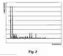 Fig. 03 - Method and device for detecting changes or damages to pressure vessels while or after undergoing a hydraulic pressure test