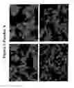 Fig. 02 - Food additive