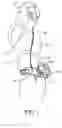 Fig. 02 - Respiratory component mounting assembly