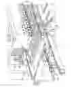 Fig. 10 - Method and device for the molding of wood fiber board