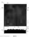 Fig. 10 - Splittable cloth like tissue webs