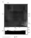 Fig. 12 - Splittable cloth like tissue webs