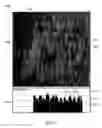 Fig. 17 - Splittable cloth like tissue webs