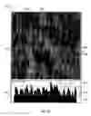 Fig. 20 - Splittable cloth like tissue webs
