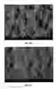 Fig. 33 - Splittable cloth like tissue webs