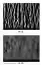 Fig. 34 - Splittable cloth like tissue webs