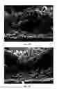 Fig. 36 - Splittable cloth like tissue webs