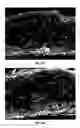 Fig. 37 - Splittable cloth like tissue webs
