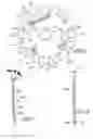 Fig. 04 - Extended coverage ordinary hazard sprinkler system