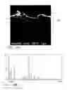 Fig. 07 - Platinum aluminide coating and method thereof