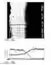 Fig. 09 - Platinum aluminide coating and method thereof