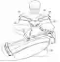 Fig. 01 - Adjustable golf bag dual strap