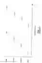 Fig. 02 - Multi column chromatography system
