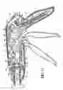 Fig. 12 - Curved cutter stapler with aligned tissue retention feature
