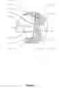 Fig. 06 - Apparatus and methods relating to fluorescent optical switches