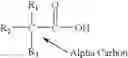Fig. 04 - Antioxidants and antioxidant boosters capable of producing hydroperoxyl radicals