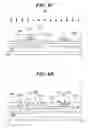 Fig. 06 - Organic EL display and method of fabricating comprising plural TFTs and with connection electrode wrapped on organic pattern