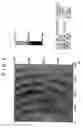 Fig. 04 - Gallium nitride semiconductor device and method of producing the same