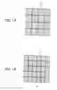 Fig. 02 - Mask, semiconductor device manufacturing method, and semiconductor device
