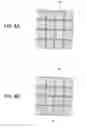 Fig. 05 - Mask, semiconductor device manufacturing method, and semiconductor device