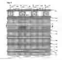 Fig. 09 - NAND flash memory with enhanced program and erase performance, and fabrication process