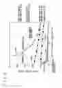 Fig. 03 - Semiconductor device and method for manufacturing the same
