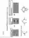 Fig. 23 - Semiconductor device and semiconductor module