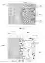 Fig. 02 - Use of gradient layers and stress modifiers to fabricate composite constructs