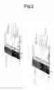 Fig. 03 - Fringed splash guards and trim
