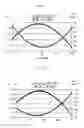 Fig. 10 - Single crystal substrate and cutting method thereof