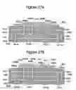 Fig. 23 - Method of manufacturing a probe card