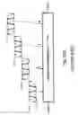 Fig. 04 - Charge pump circuit suitable for low-voltage process