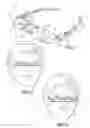 Fig. 02 - Binocular virtual display imaging device