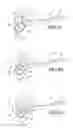 Fig. 04 - Binocular virtual display imaging device