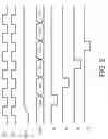 Fig. 03 - USB flash-memory drive with dazzling marquee-pattern driver for multi-LED display