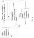 Fig. 07 - Thin electronic reference device