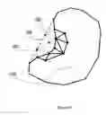 Fig. 08 - Accelerated ray-object intersection