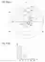 Fig. 11 - Selection of decorative picture suitable for input picture