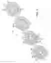 Fig. 06 - Drop ejection assembly