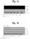 Fig. 02 - Bonding structure and method of making