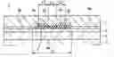 Fig. 01 - Thermal head, method for manufacturing the same, and method for adjusting dot aspect ratio of thermal head