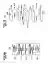 Fig. 08 - Liquid crystal display device