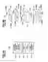Fig. 10 - Liquid crystal display device