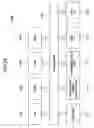 Fig. 30 - Information-processing apparatus, information-processing method, information-processing program, recording medium, image-processing apparatus, image-processing method, printer driver, and recording medium
