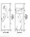 Fig. 22 - Technique to compensate for resonances and disturbances on primary actuator through use of a secondary actuator