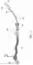 Fig. 16 - Elongated flexible lighting equipment and fabricating method of same