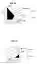 Fig. 13 - Light conductor, lighting apparatus, and liquid crystal display
