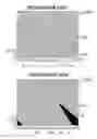 Fig. 19 - Light conductor, lighting apparatus, and liquid crystal display